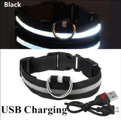 Led pet collar