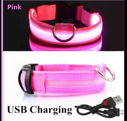 Led pet collar