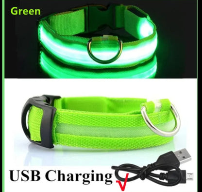 Led pet collar