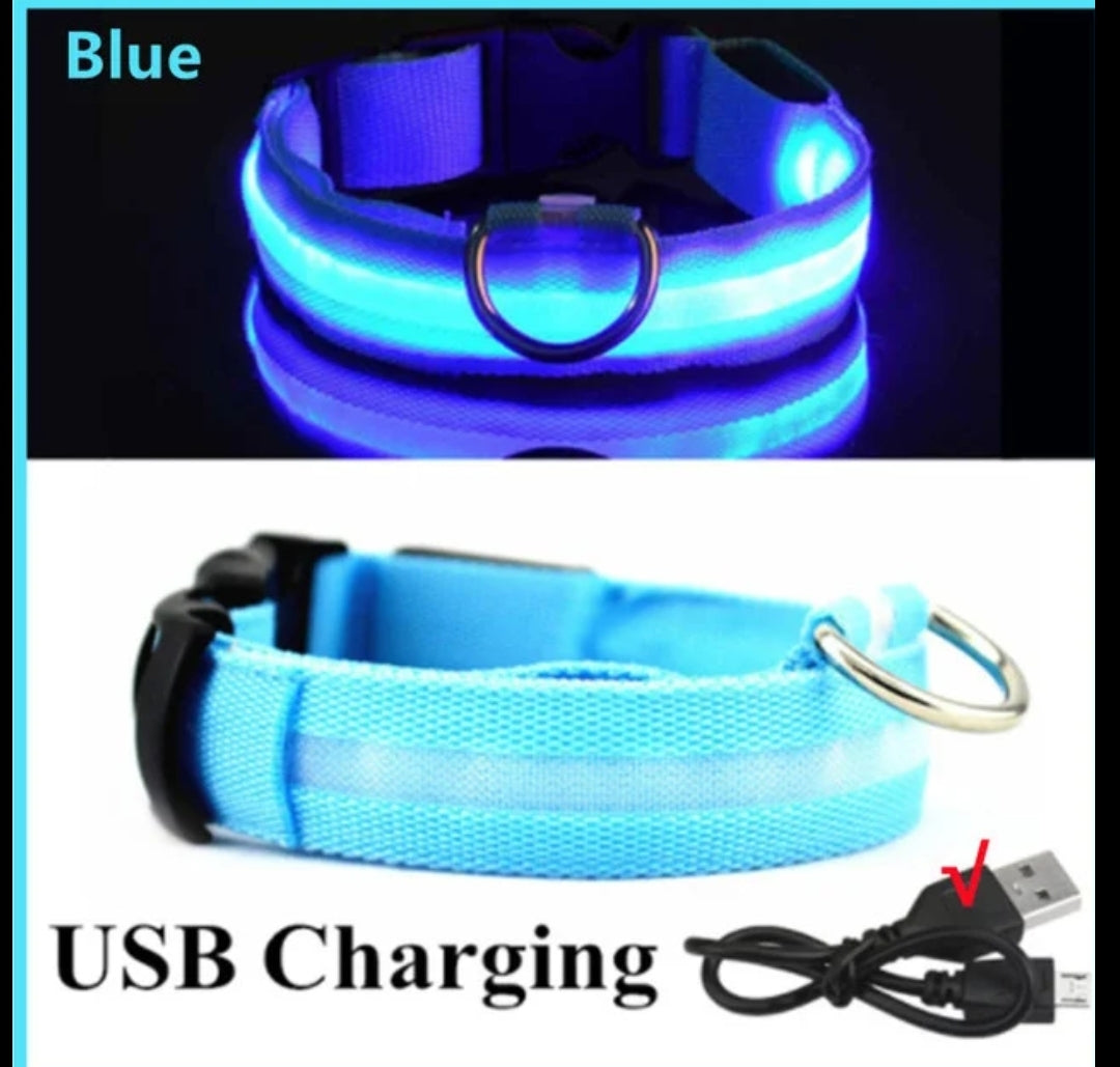 Led pet collar