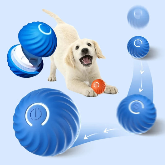 Smart dog ball