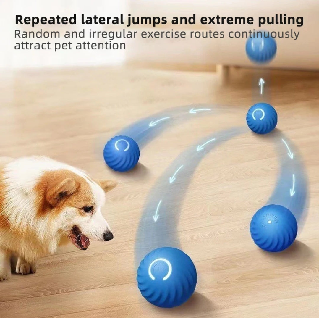 Smart dog ball