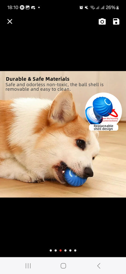 Smart dog ball