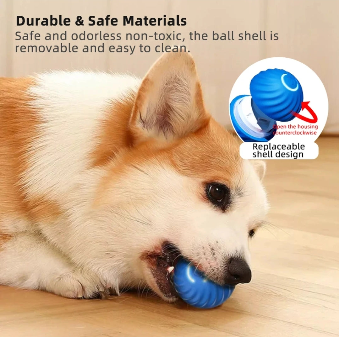 Smart dog ball