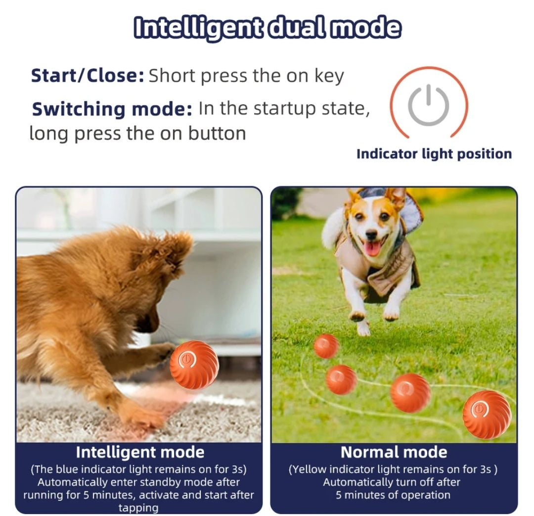 Smart dog ball