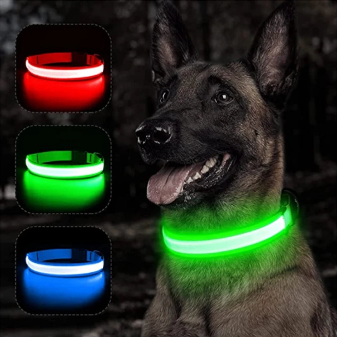 Led pet collar