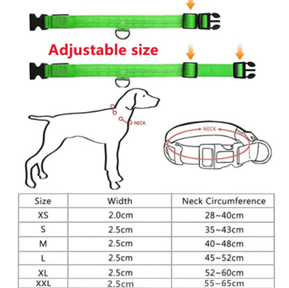 Led pet collar