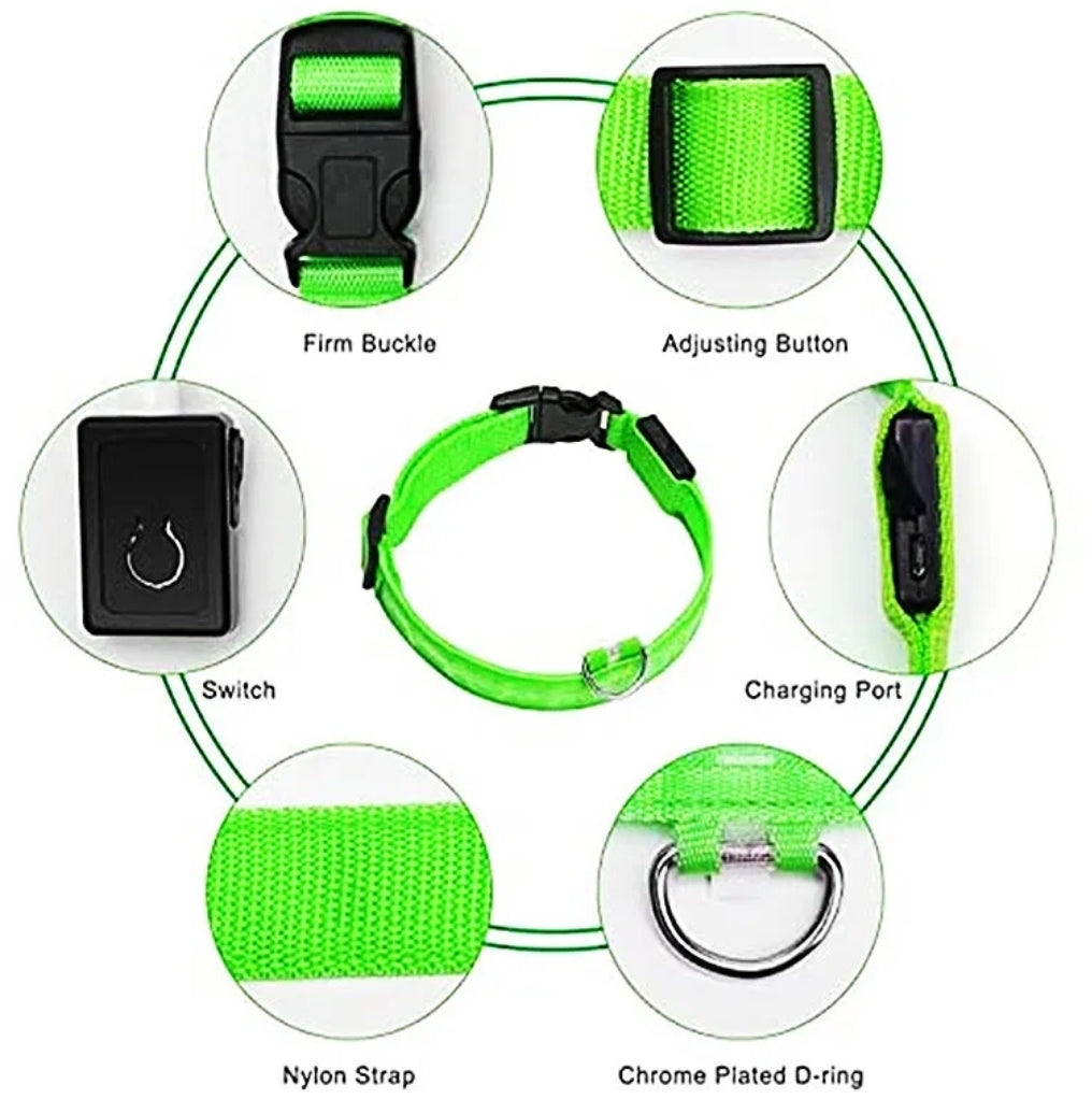 Led pet collar