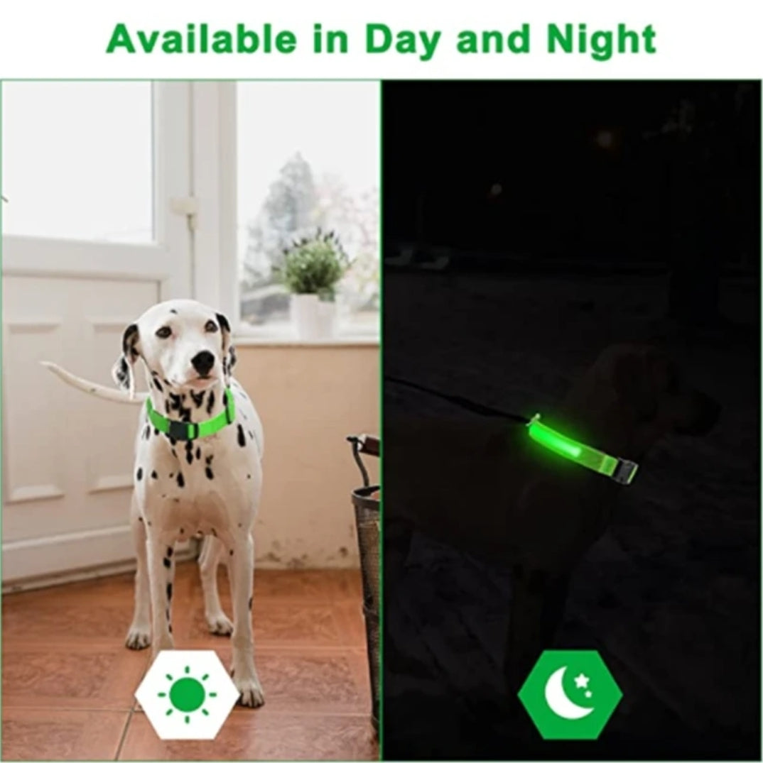 Led pet collar