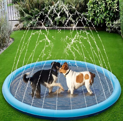 Pet pool