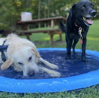 Pet pool