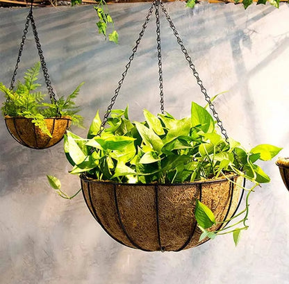 Hanging baskets