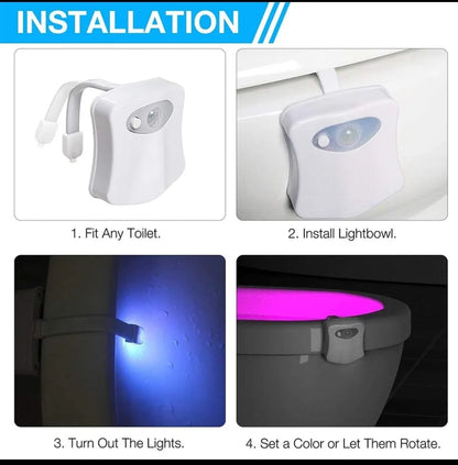 Led toilet light