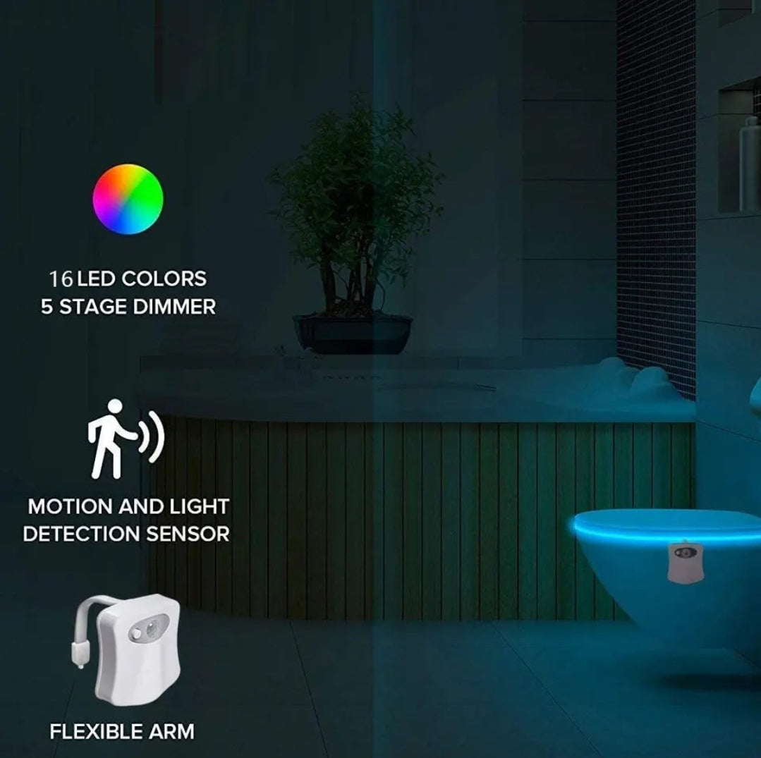 Led toilet light