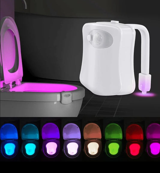 Led toilet light