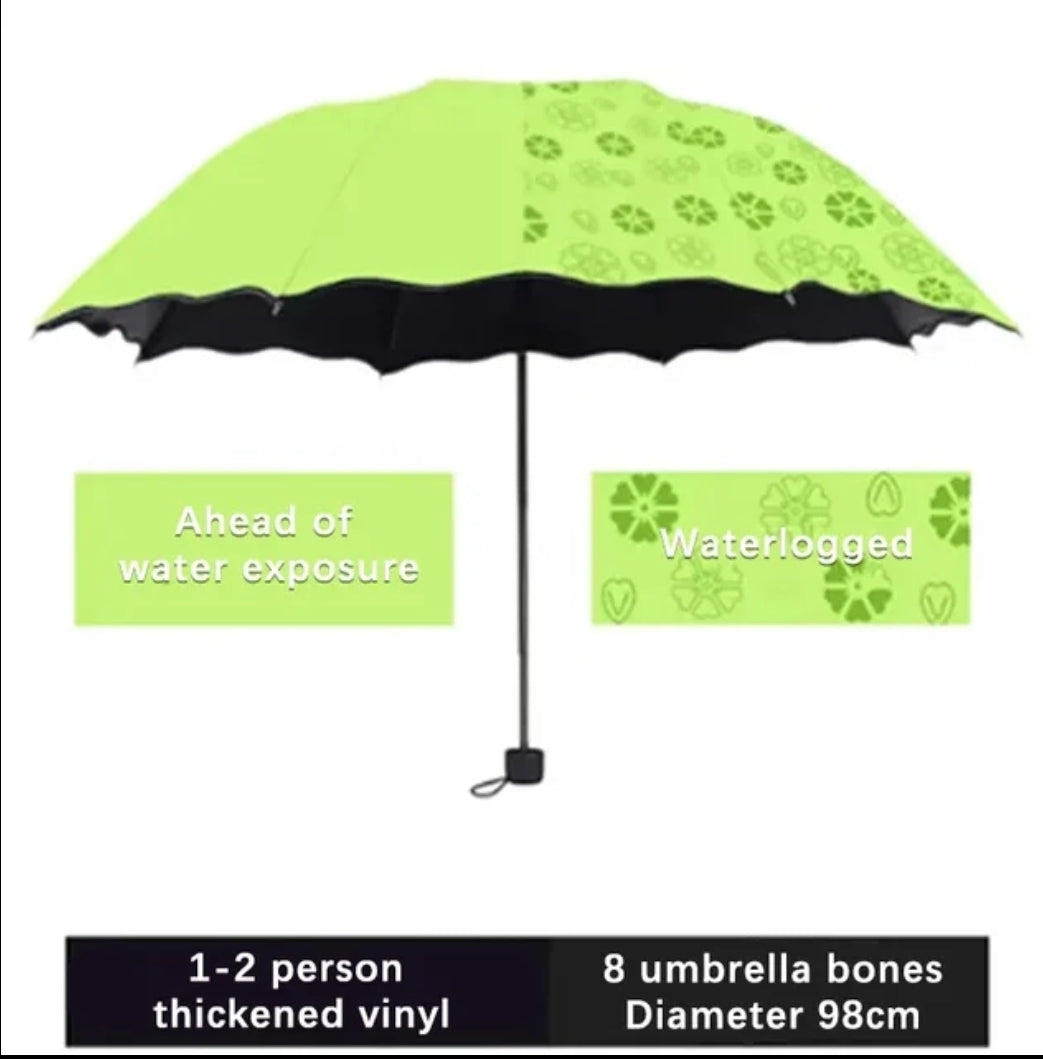 Umbrella