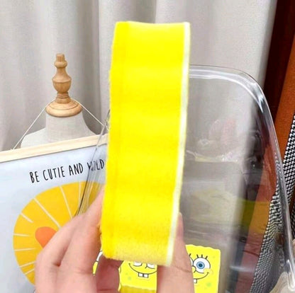 Sponge & sponge holder