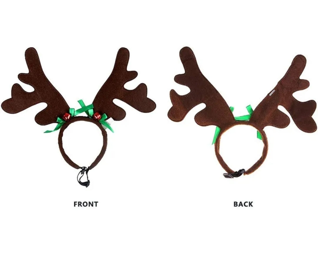 Pet reindeer antlers