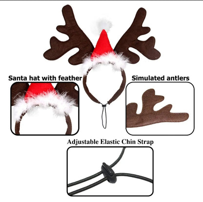 Pet reindeer antlers