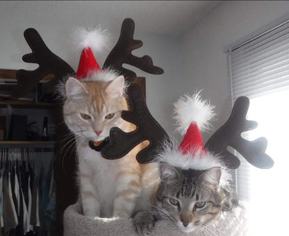 Pet reindeer antlers