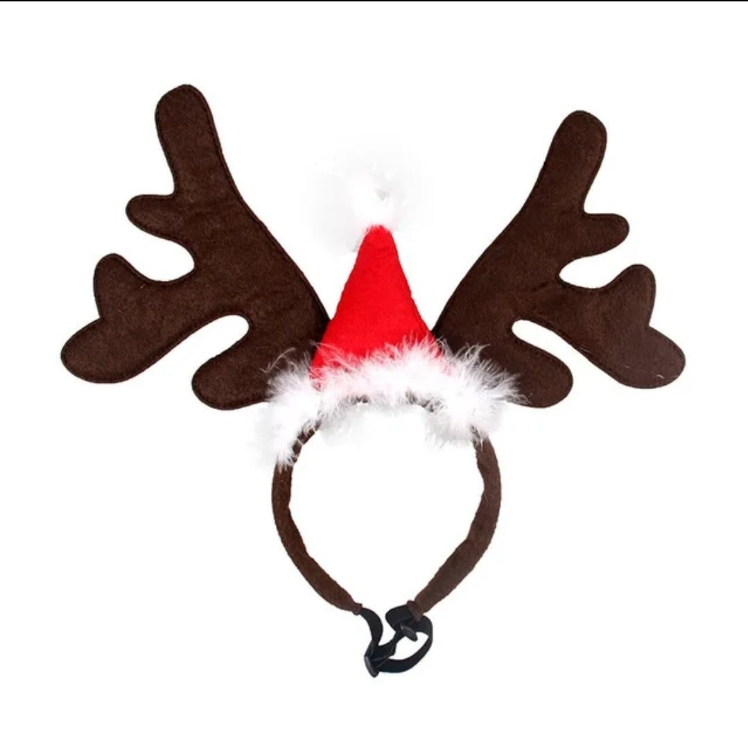 Pet reindeer antlers