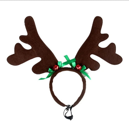 Pet reindeer antlers