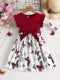 Girls Butterfly Dress